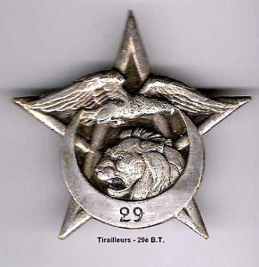 Tirailleurs 29e BT